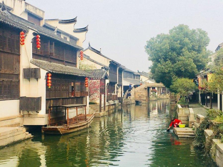 植物大战僵尸2