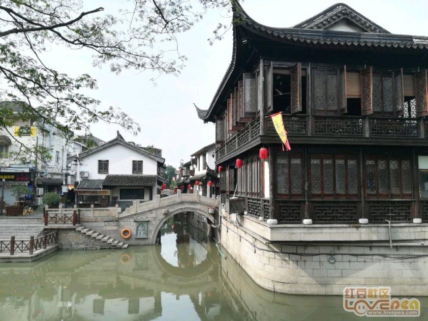 16岁女高生为他自杀未遂!日名嘴涉违法道歉…手上10节目电视台回应